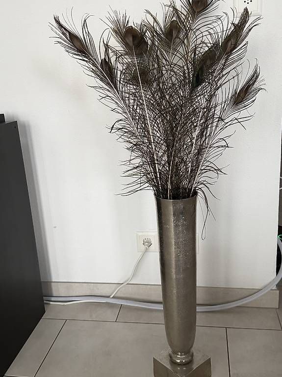 Vasi & Recipienti: Silbrige Vase mit Federn 200 statt 300 – Usato da Rüti ZH venduto da sor_c27g