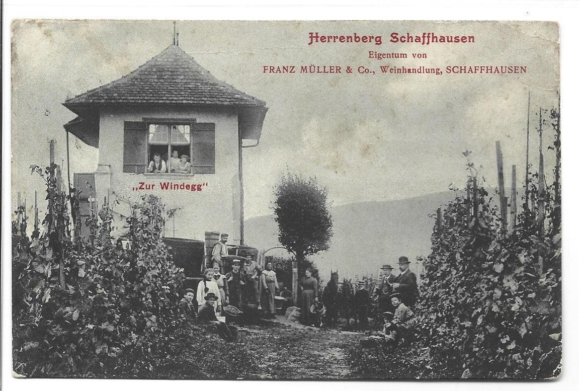 Cartoline postali: AK Schaffhausen Wein – Usato da Appenzell venduto da mai25