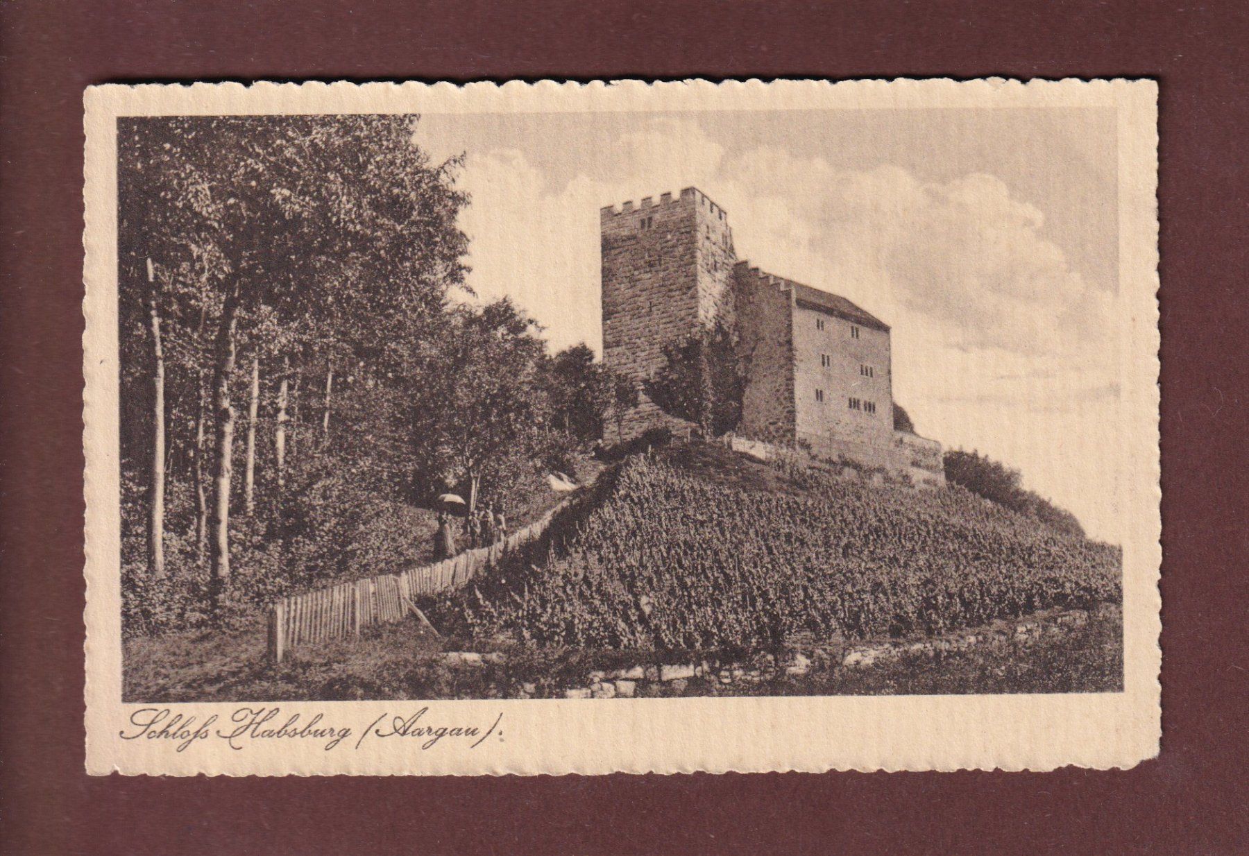 Cartoline postali: Schloss HABSBURG – Usato da Pully venduto da nicecards-shop