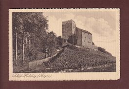 Schloss HABSBURG