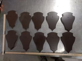 10 Stk. Jagd Trophäen Schilder, Geweihschilder, Top Zustand