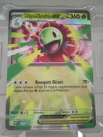 JUMBO Méga-Méganium EX Promo 34 MEP - FR