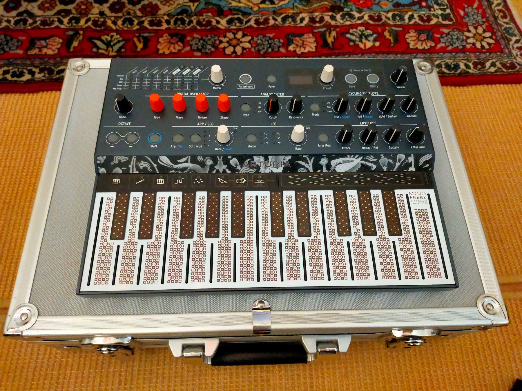 Arturia Strumenti musicali: Arturia MicroFreak inkl. Case und Patchkabel – Usato da Wohlen b. Bern venduto da Wannholle