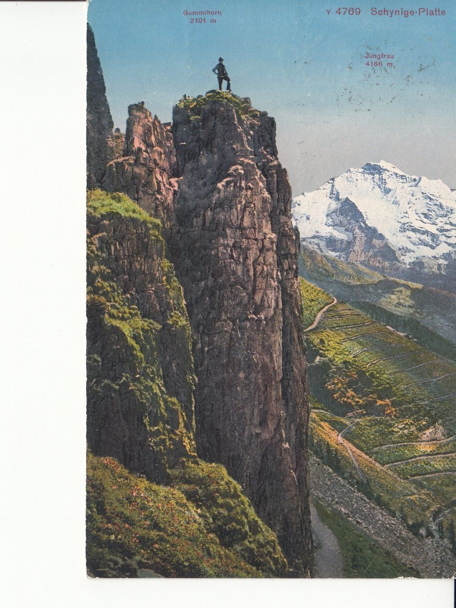 Cartoline postali: Schynige Platte 1925, mit Hotelstempel – Usato da Bürglen TG venduto da StampGraf