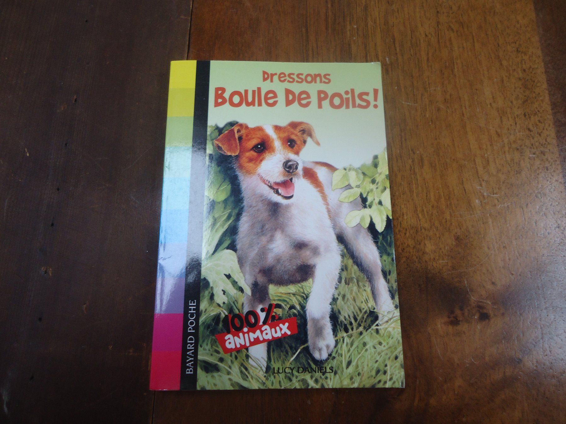 Libri: Dressons Boule de Poils – Usato da Vessy venduto da mafabe