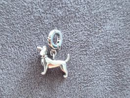 Silber Charm Hund +Garantie