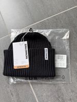 Salomon Snowbird Beanie