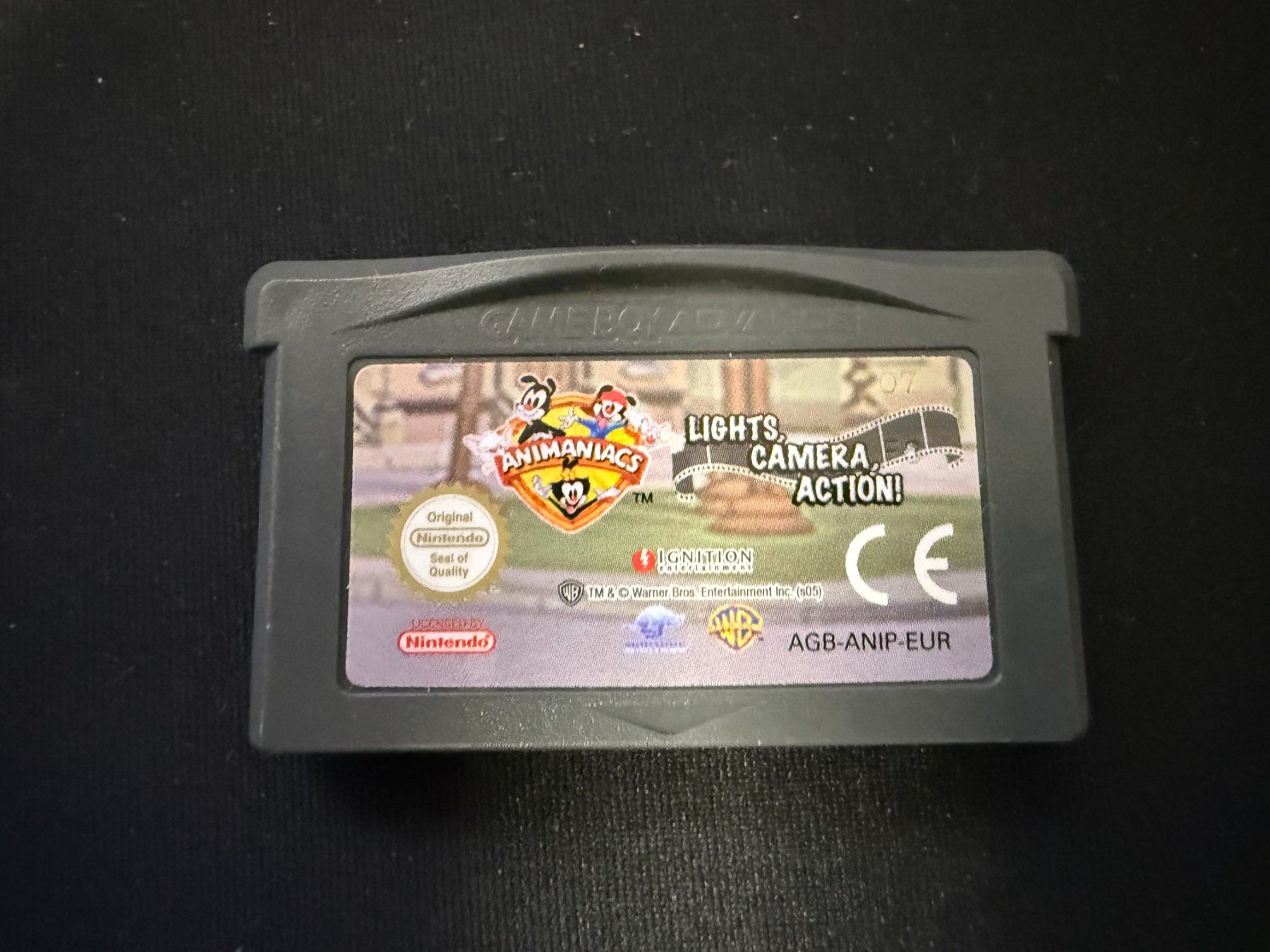 Nintendo Giochi: Animaniacs: Lights, Camera, Action – Gameboy Advance – Usato da Pont-de-la-Morge venduto da Darfal