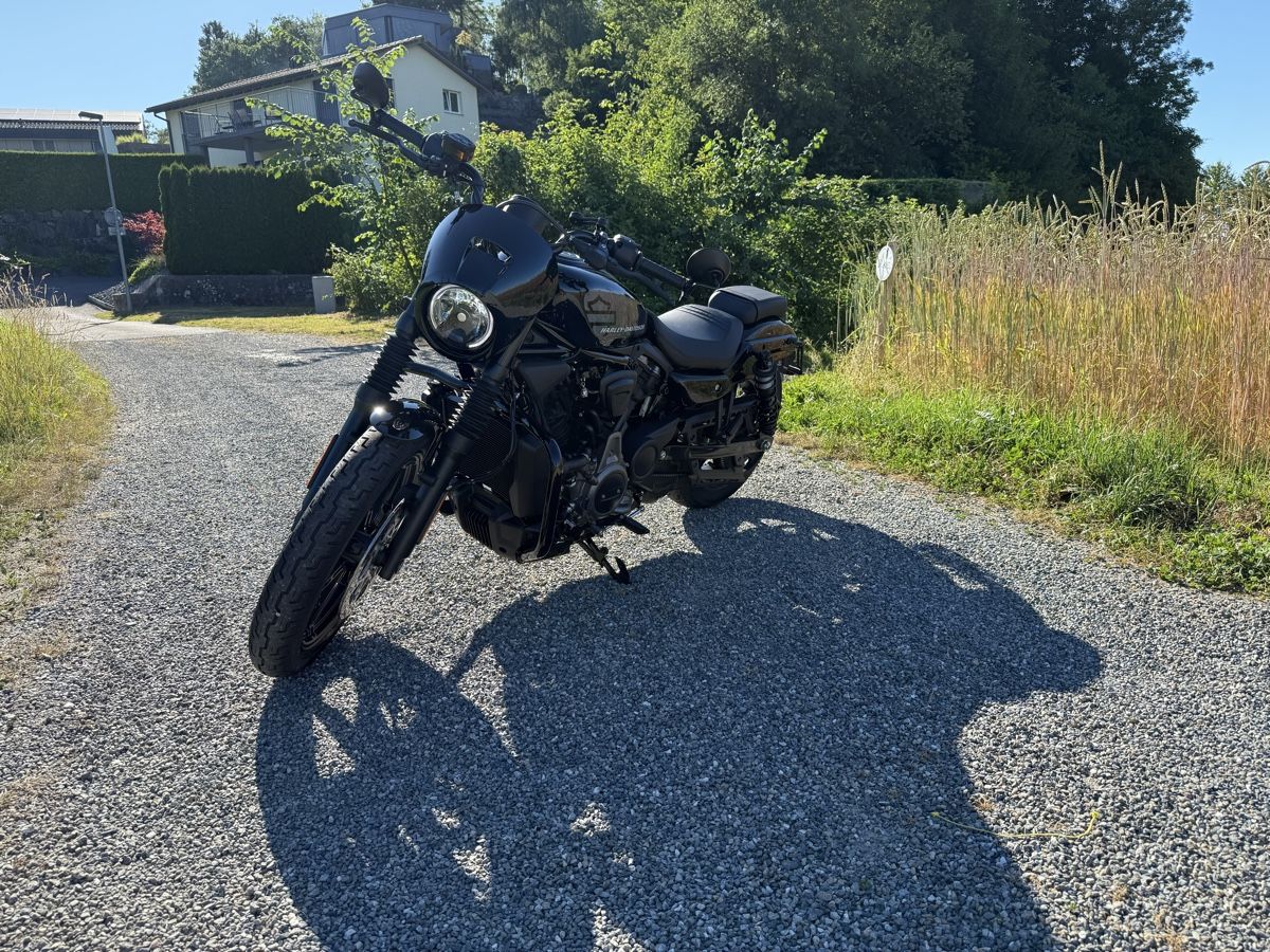 Harley-Davidson Chopper: Harley Davidson RH 975 Nightster – Usato da Staad SG venduto da MattisSG 3