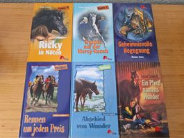 6 Pony Club Pferdebücher