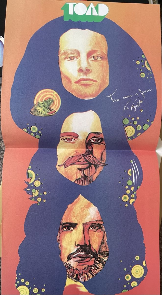 Schallplatten: TOAD - Tomorrow Blue - AKARMA Vinyl LP – Gebraucht aus Olten von Bluespapst 3