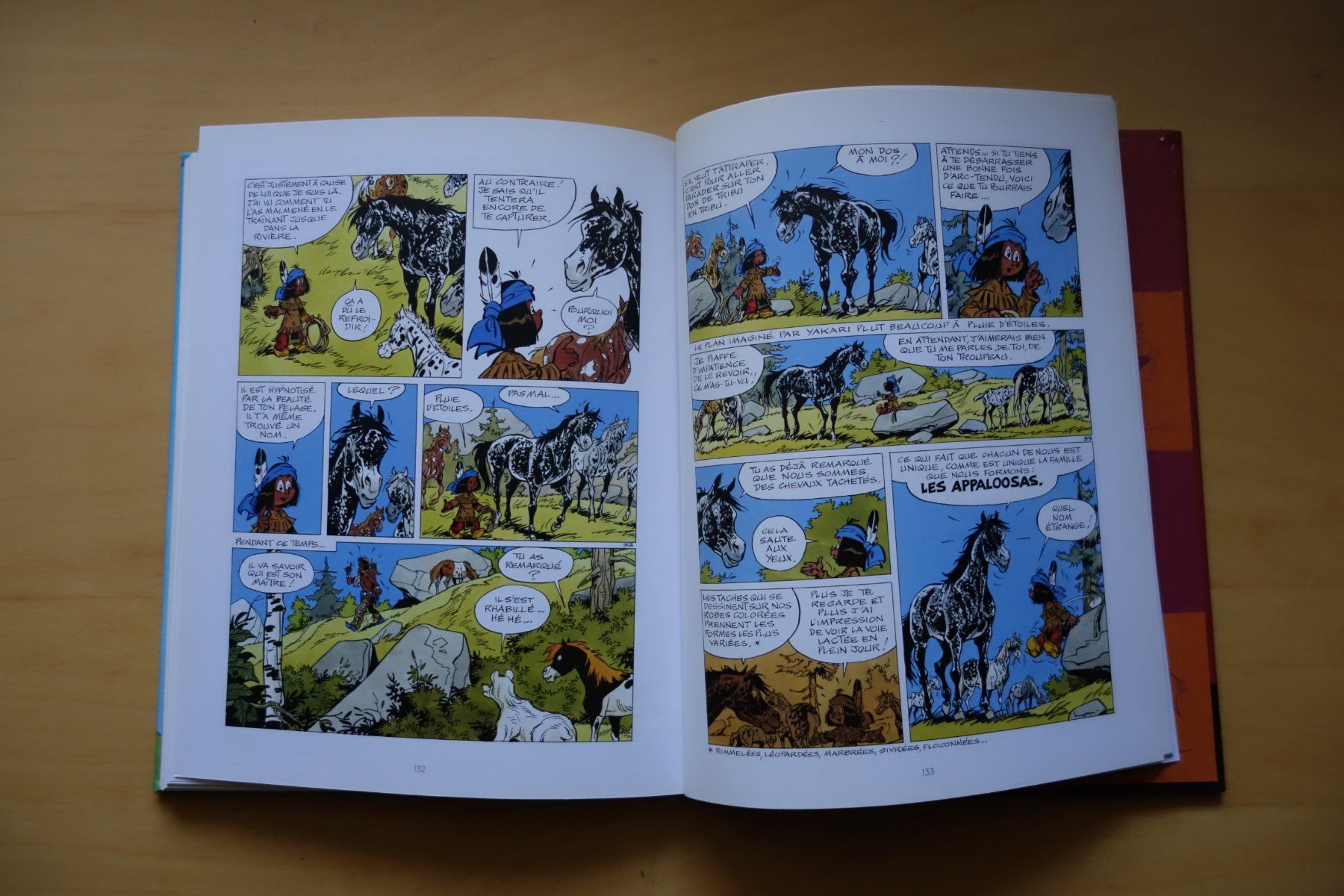 Fumetti: Yakari - L'ami des chevaux – Usato da Romainmôtier venduto da Iguazu12 6