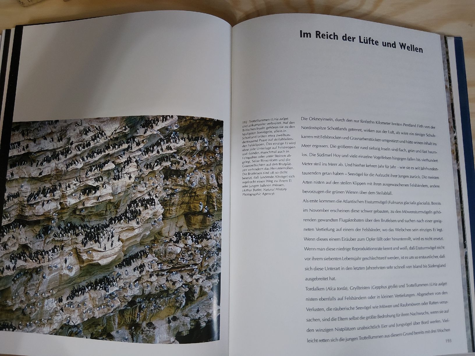 Libri: Lebensraum Ozean – Usato da Grolley venduto da Montana78 6