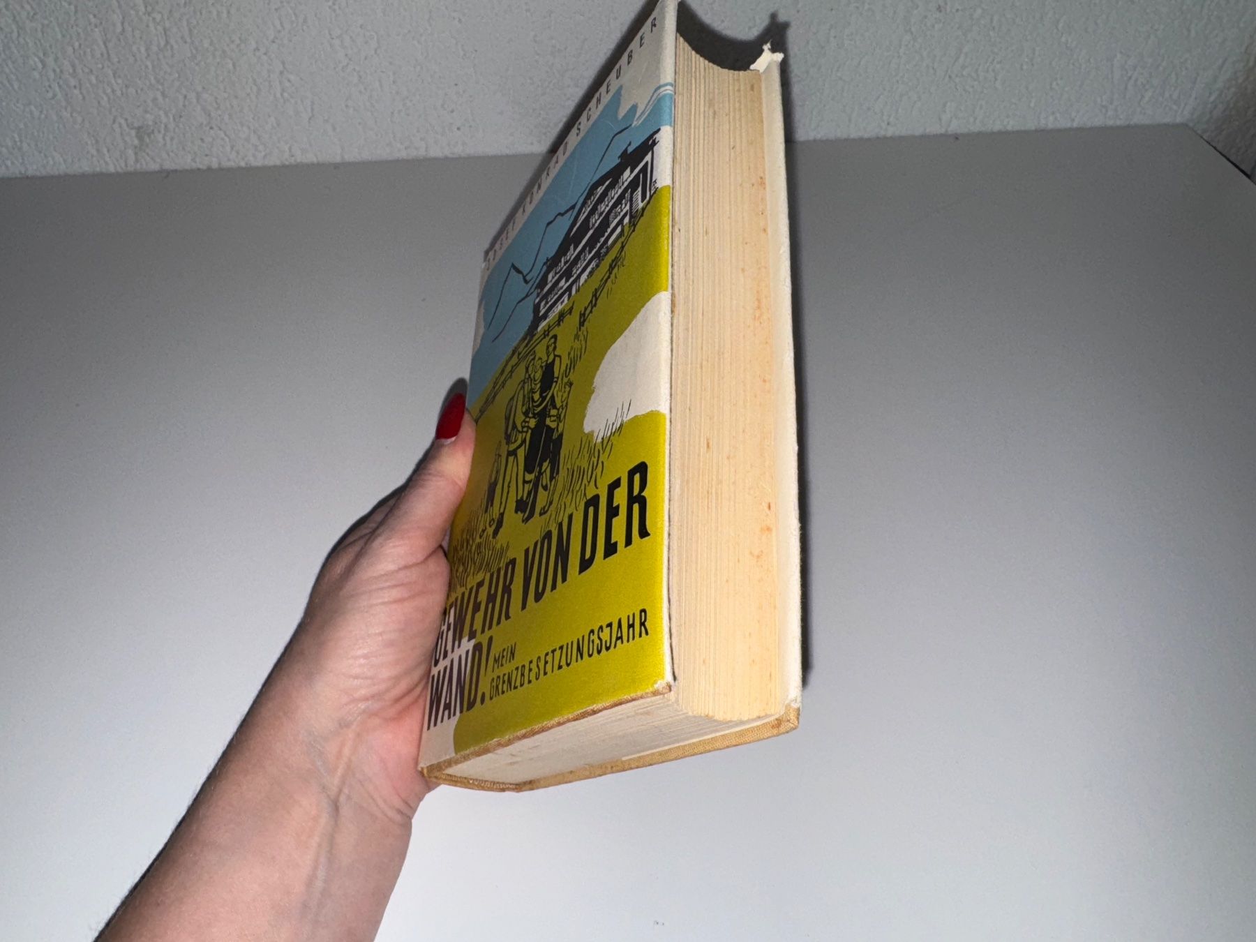 Libri: BUCH: Josef Konrad Scheuber, Gewehr von der Wand – Usato da Grosswangen venduto da Second_hand_paradise 1