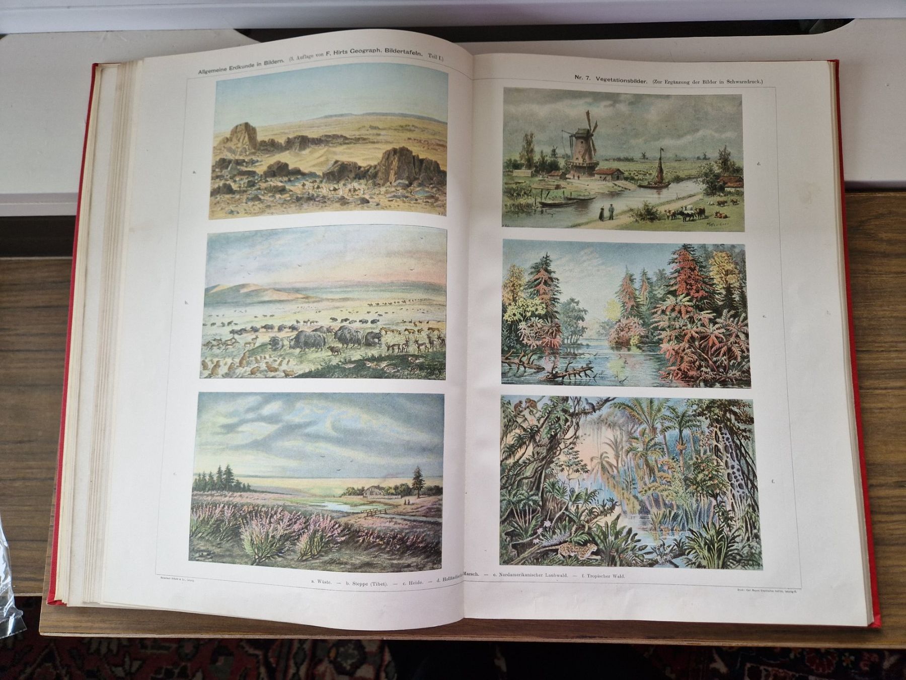 Libri: Allgemeine Erdkunde in Bildern 1890 – Usato da Mörschwil venduto da antiksalon21 5