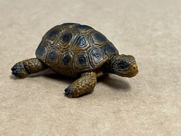 Schleich Schildkröte