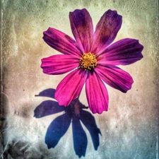 Profile image of Hilfe_Waisentiere