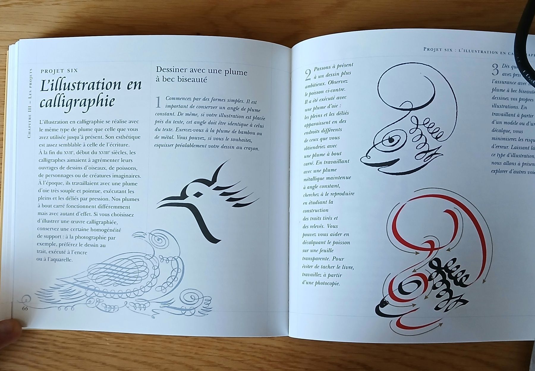 Libri: Magnifique coffret de Calligraphie  – Usato da Sciernes-d'Albeuve venduto da Dojo004 4