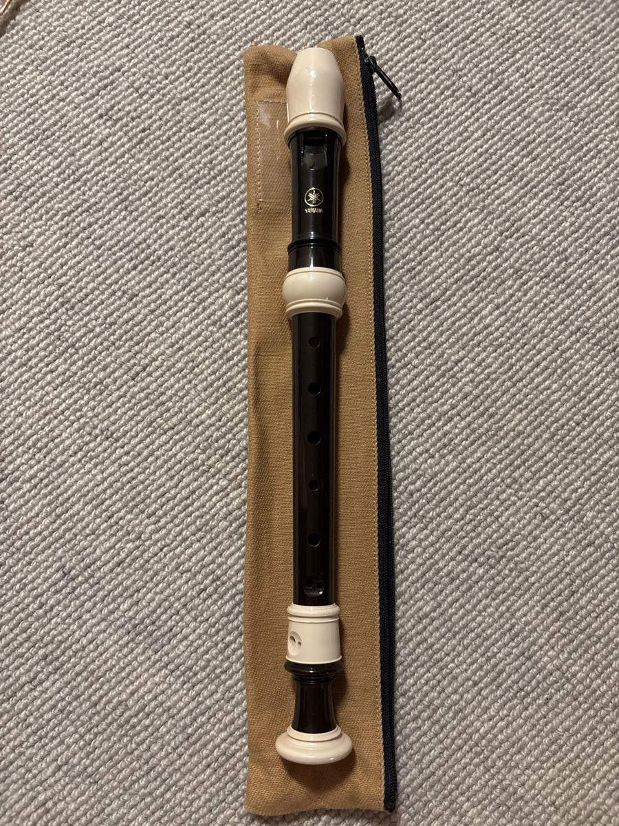 Yamaha Strumenti musicali: Flöte Yamaha Sopranblockflöte – Usato da Fislisbach venduto da secondhandF