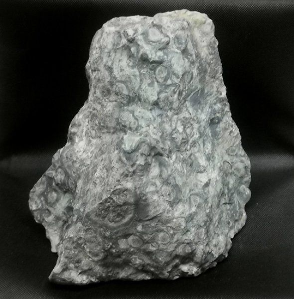 Minerali & Pietre curative: Kambaba Jaspis Rohstein – Nuovo (secondo la descrizione) da Walenstadt venduto da vkt_qc8d 3