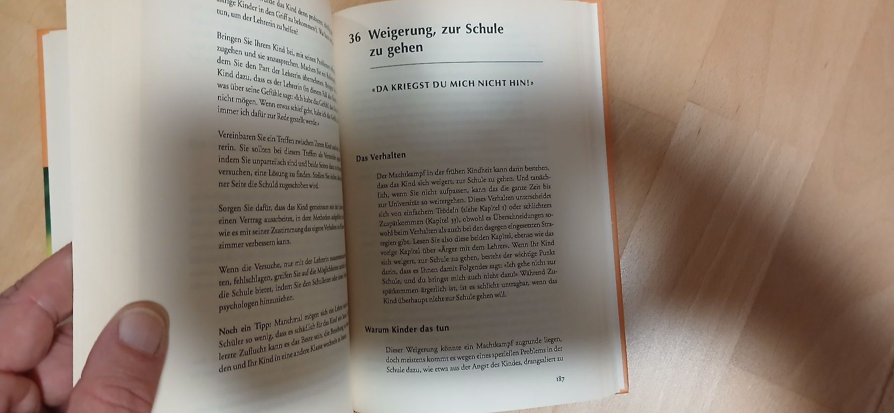 Libri: Buch (Das SOS-Elternbuch) – Usato da hinwil venduto da tho_j6kz 9