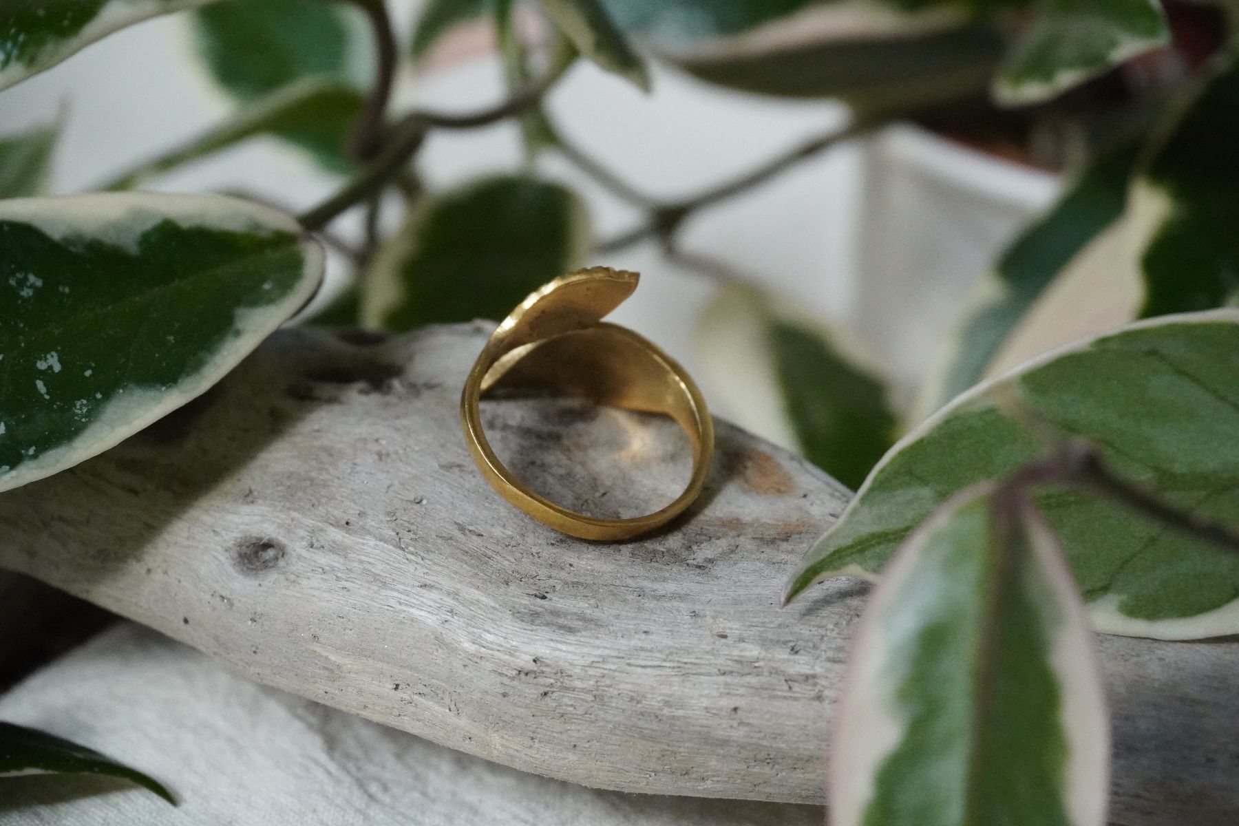 Ringe: Messing Ring Blätter - Neu – Neu (gemäss Beschreibung) aus Heerbrugg von R.St27 1