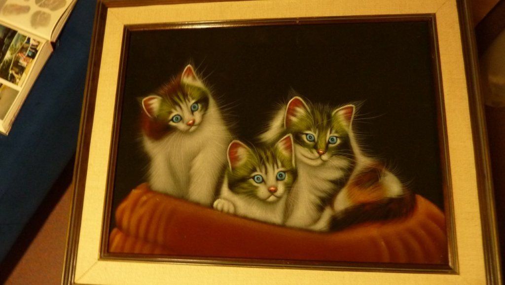 Posters & Illustrations: Katzenbild auf Stoff, gerahmt – D'occasion à Kaltbrunn par Joei 1