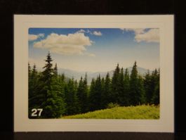 MIGROS MANIA Nature Detectives Nr. 27