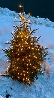 Weihnachtsbeleuchtung 220V outdoor