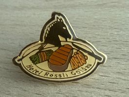 Pin Hotel Rössli Goldau