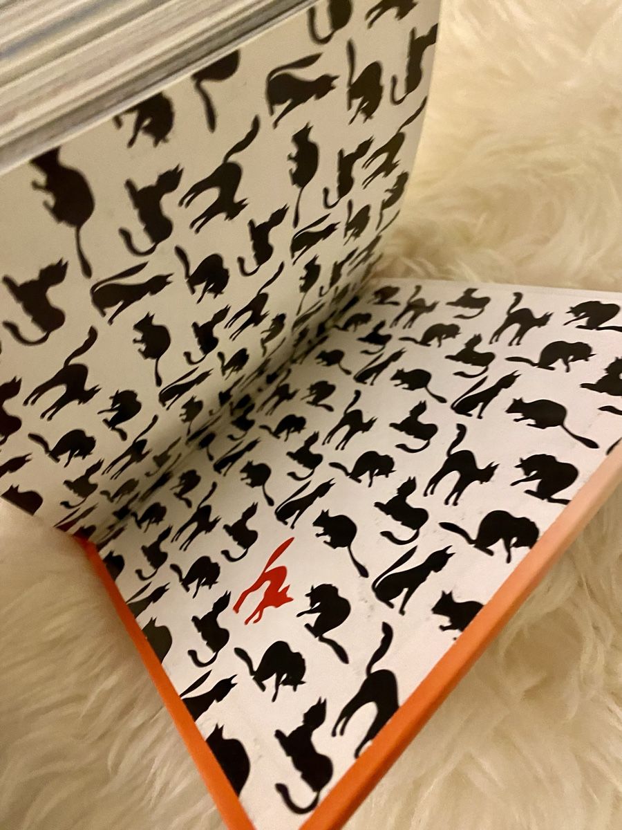 Libri: Bilder Buch Katzenrassen – Nuovo (secondo la descrizione) da Lyss venduto da Sibella56 5