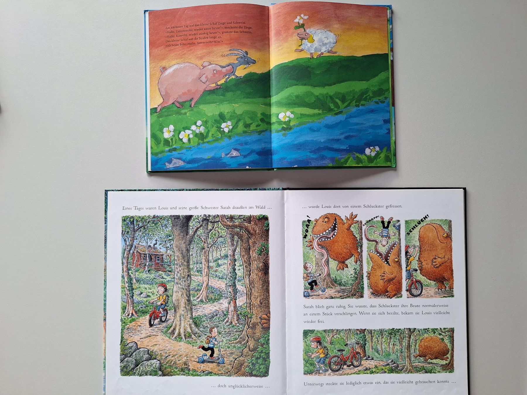 Libri: Lot 6 verschiedene Bilderbücher – Usato da Spreitenbach venduto da misi.m 2