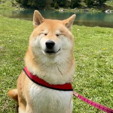 Profile image of bar_yyg8