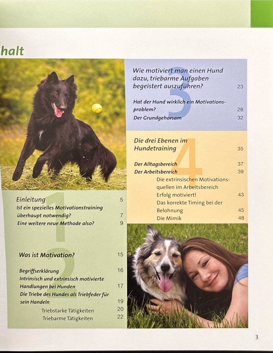 Libri: Hunde spielend motivieren – Nuovo (secondo la descrizione) da Sarnen venduto da Livres 3
