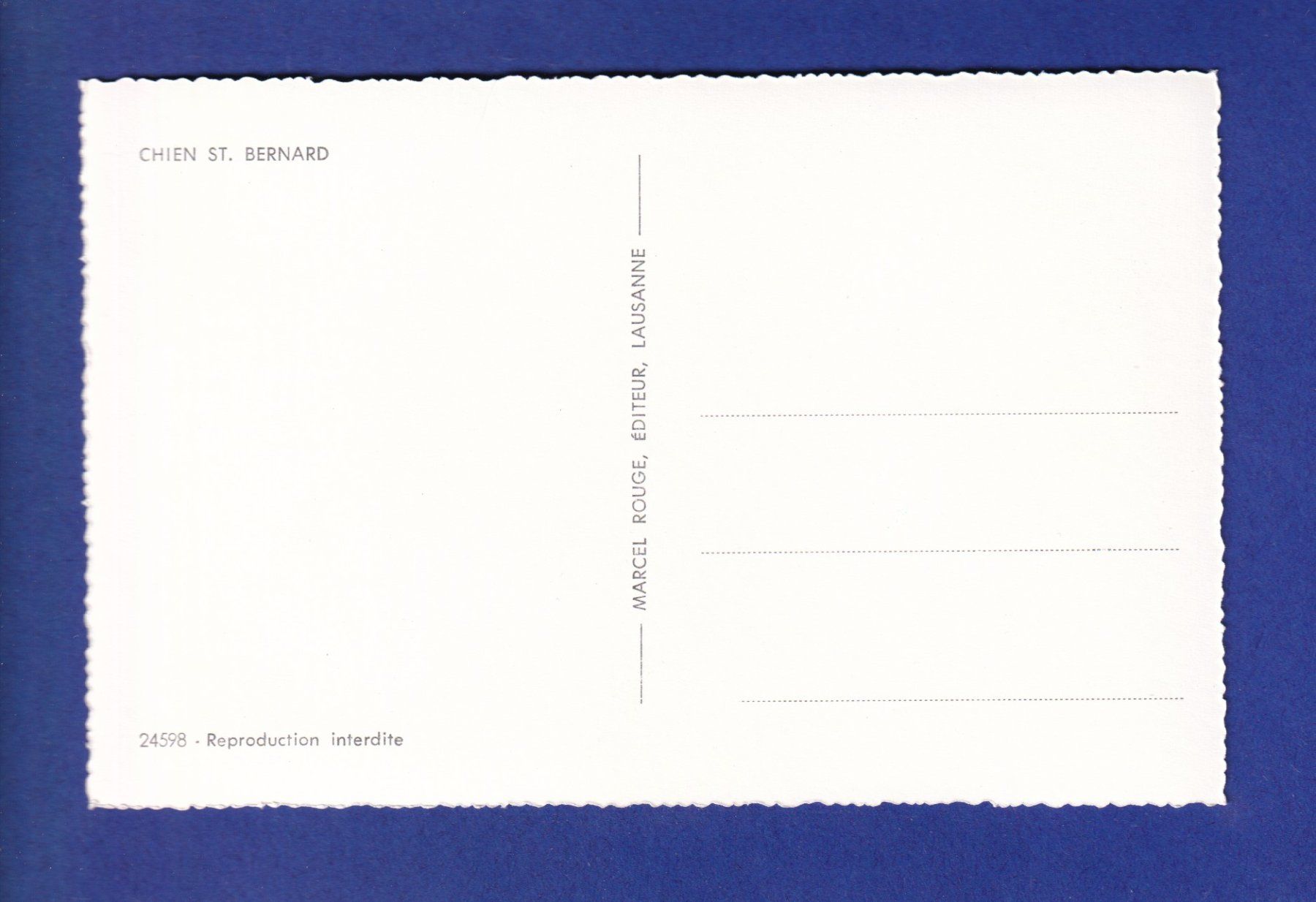 Ansichtskarten: CHIEN / HUND - St. Bernard – Gebraucht aus Pully von nicecards-shop 1