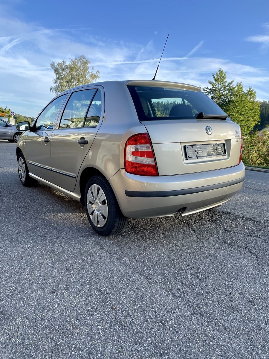 Skoda Automobili: Skoda Fabia 1.2 Hatchback – Usato da Rikon im Tösstal venduto da yosef2 5