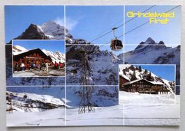 Grindelwald-First (B.O.)