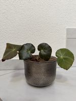 Keramik Matzendorf, Blumentopf.
