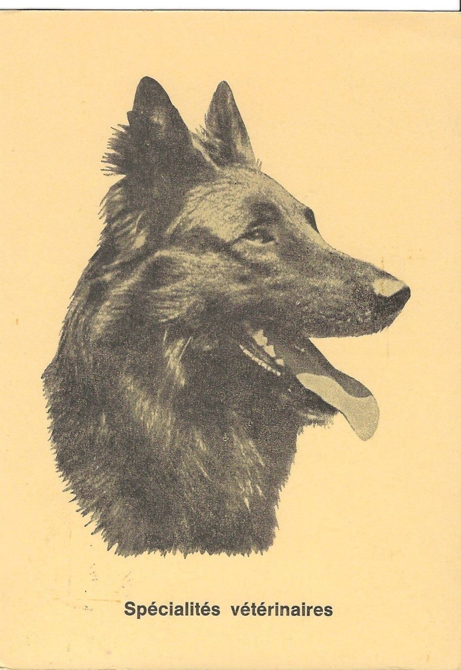 Cartoline postali: Schäfer Hund, Veterinär – Usato da Frauenfeld venduto da Merk52