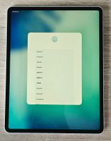 iPad Pro (12,9″, 3. Generation) 256 GB Speicher  A2014