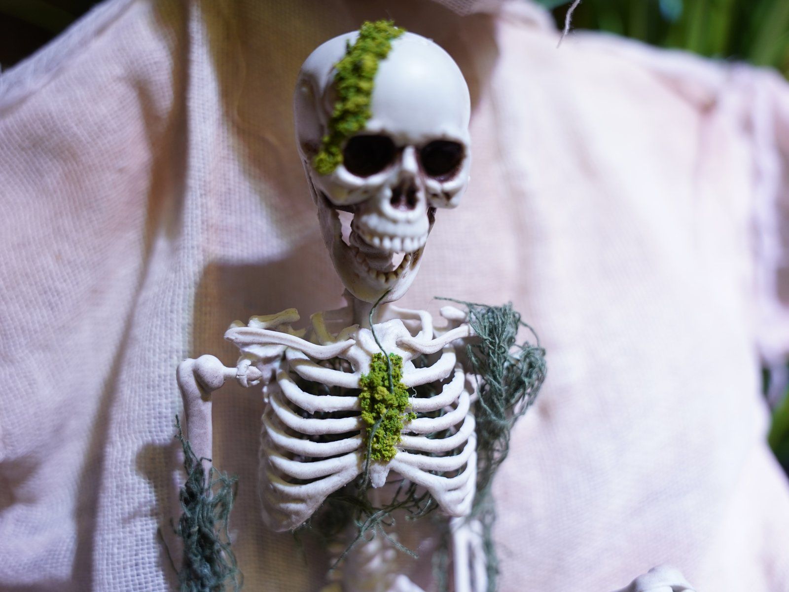 Statuette: EUROPALMS Halloween Skelett mit Moos, 40cm – Nuovo e nell'imballaggio originale da Däniken SO venduto da Profog1 2