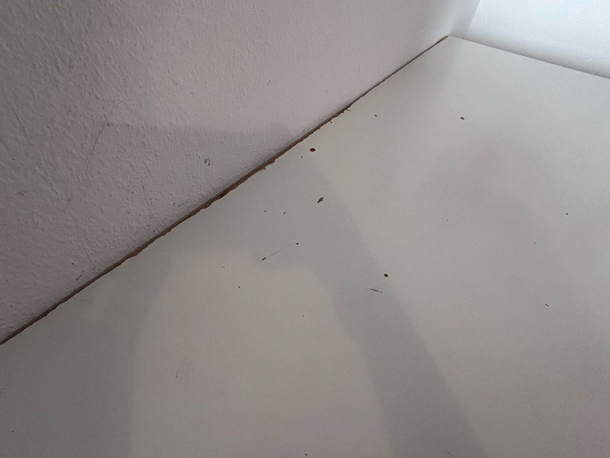 Scrivanie: IKEA Tisch – Usato da Glattbrugg venduto da ikr_bf2j 1