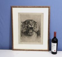 Evert van Muyden 1853-1922, Radierung "Tiger" von 1892