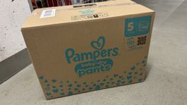 Pampers Baby dry pants