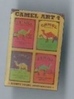 Camel PIN