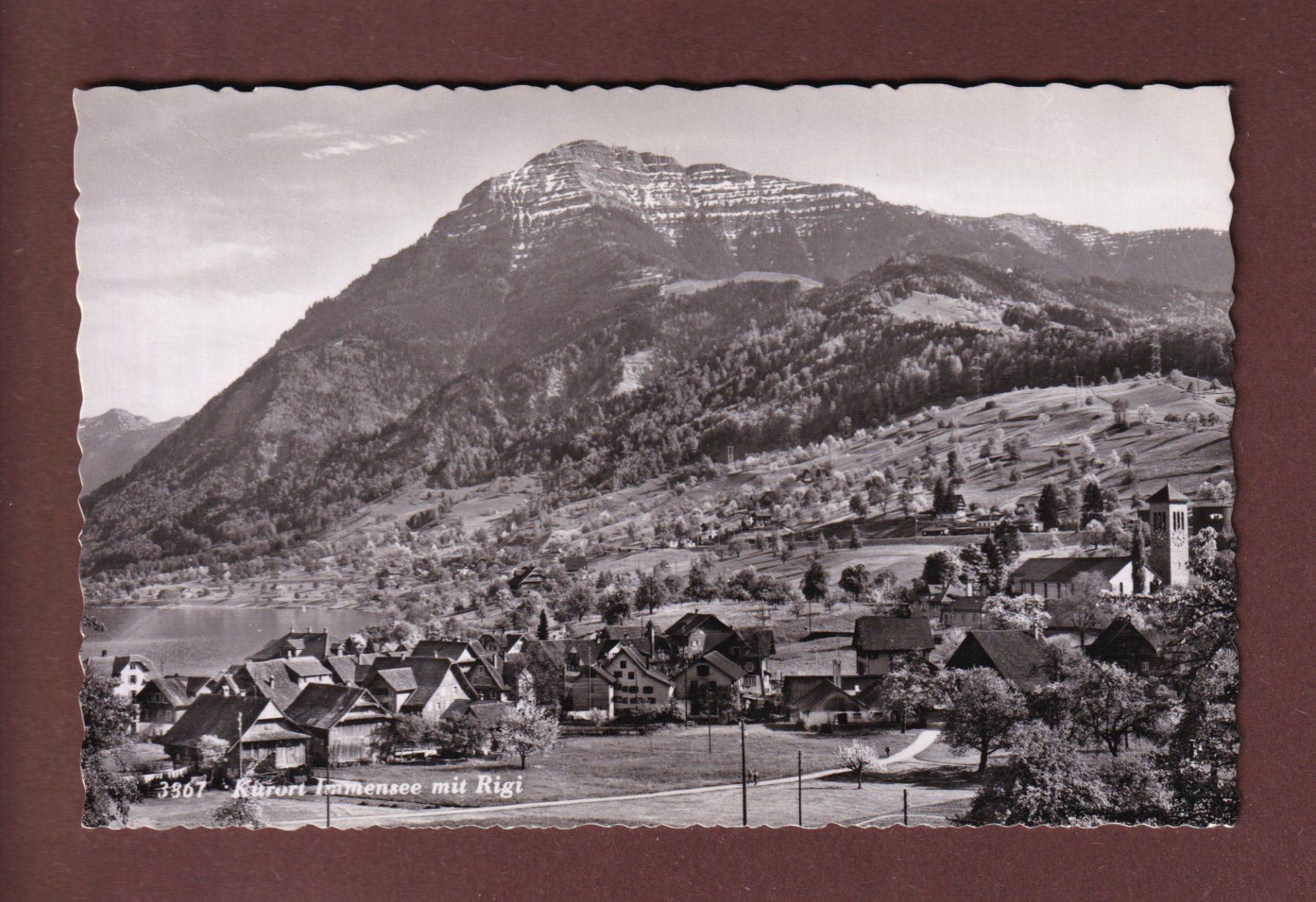 Cartes postales: IMMENSEE - Rigi – D'occasion à Pully par nicecards
