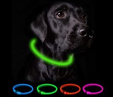 Hundehalsband LED / Sicherheit und Sichtbarkeit im Dunkeln!