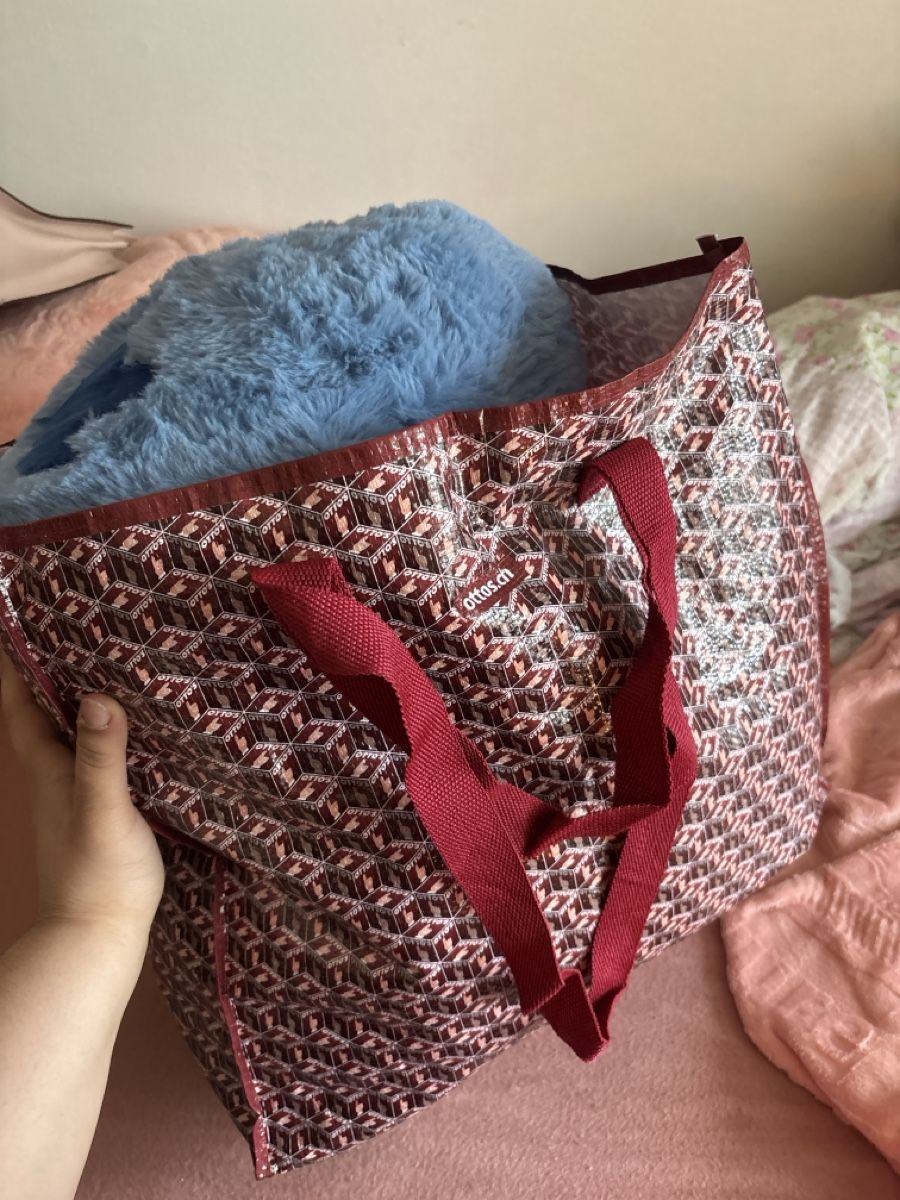 Giocattoli: Mystery Plüschtier Bag – Usato da Dübendorf venduto da ame_g69g 1