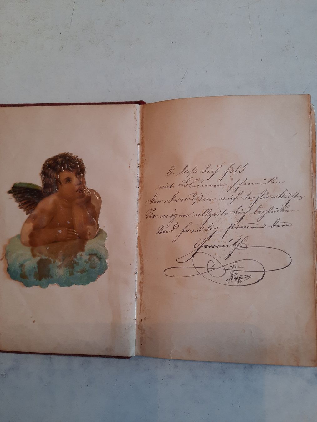 Album: Poesiealbum 1905 – Usato da Nottwil venduto da mar_jqm7 9