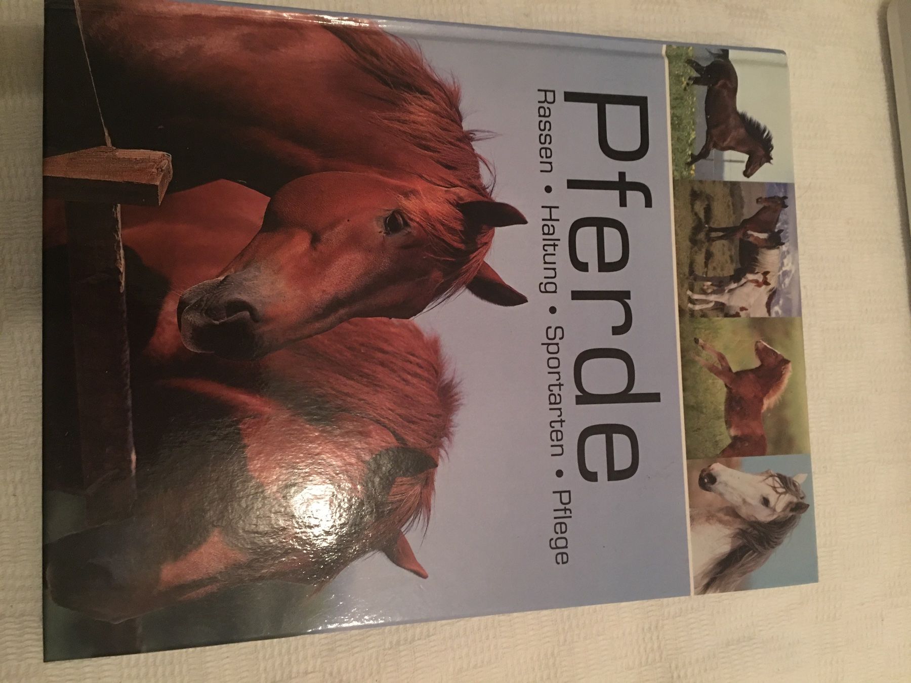 Libri: Buch - Pferde – Usato da Worb venduto da vivia_ne